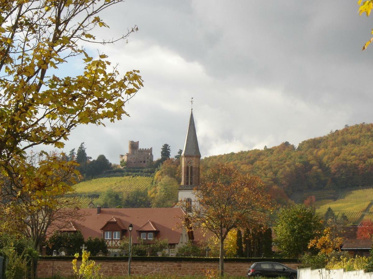 Au Coeur D'Alsace Chambres D'Hotes Kintzheim Zewnętrze zdjęcie